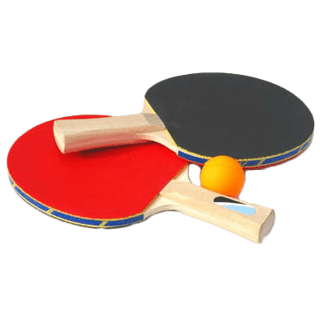 Championship of table tennis